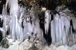 Winter in Hawthorn Farm Village